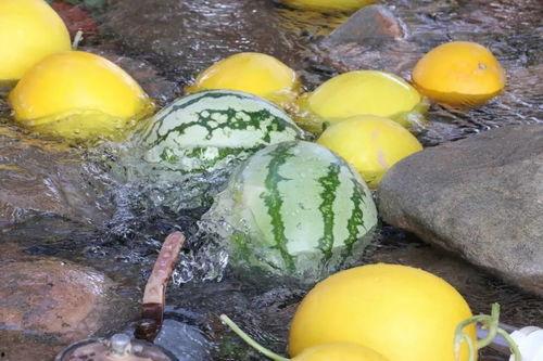 大城吃瓜视频真实,揭秘网络热传视频背后的真实故事