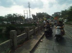 桥沟路吃瓜群众小视频,街头热事一网打尽