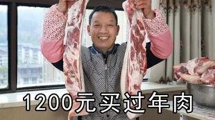 吃瓜大片怎么拍视频赚钱,轻松拍大片,开启赚钱新篇章