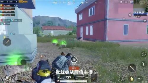 老撕鸡吃瓜的视频下载,一场娱乐与真相的碰撞