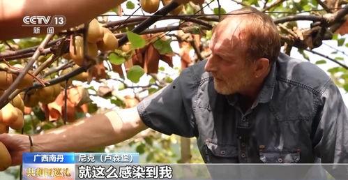 广西老表吃瓜视频,揭秘当地独特饮食文化