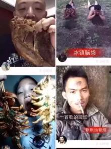 快手看戏吃瓜事件视频,一场网络直播的狂欢与争议