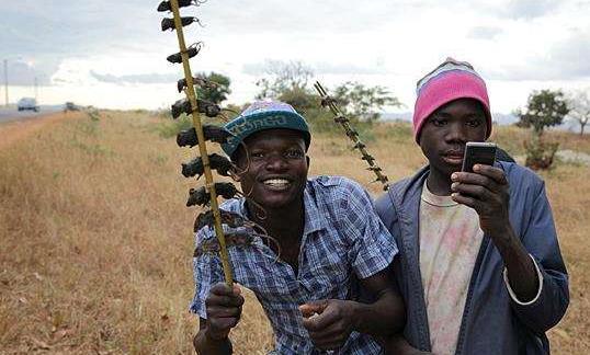 非洲网红吃瓜事件视频在线观看,视频爆笑场面引网友热议