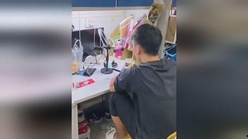 吃瓜人工资视频,揭秘网络红人背后的收入真相