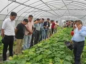 浙江农业大学吃瓜视频,校园生活趣味瞬间大揭秘