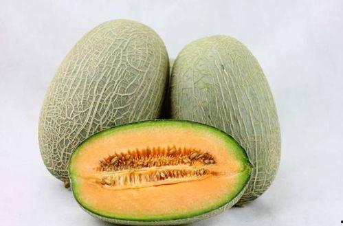 日本人吃山东哈密瓜视频,山东哈密瓜在日本的魅力之旅