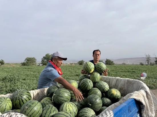 邯山区吃瓜事件视频,一场引发热议的网络风波