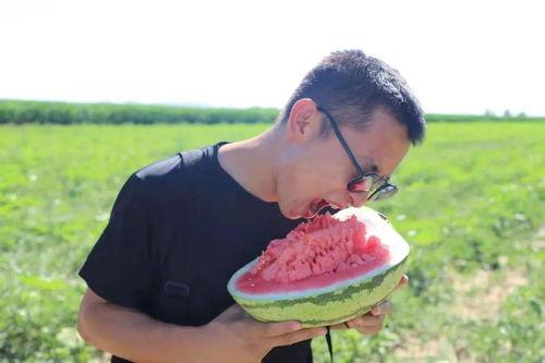 呼唤吃瓜群众视频,一场全民参与的娱乐盛宴