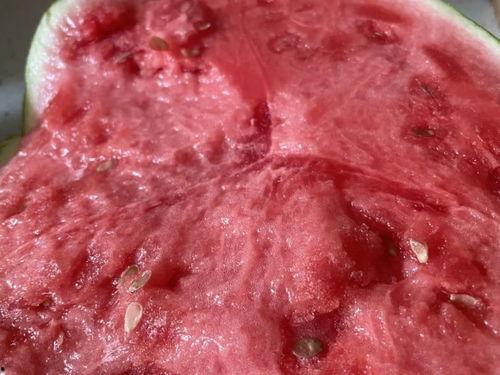 不困吃瓜视频,揭秘娱乐圈幕后故事,带你领略明星真实生活