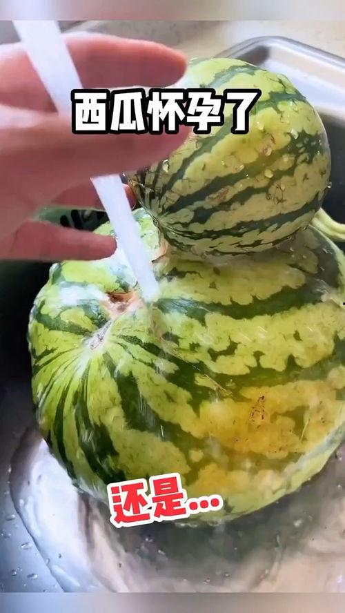 吃鲜瓜搞笑视频,吃鲜瓜搞笑视频,笑料横生,欢乐无限