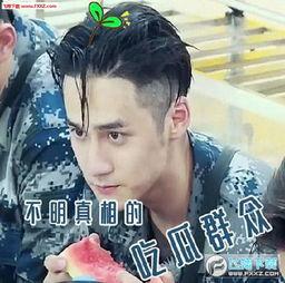 动态表情吃瓜群众视频下载,趣味横生的网络现象解析