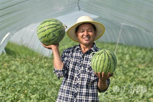 北艺最新吃瓜视频下载,揭秘校园风云背后的真相