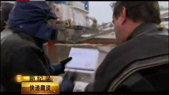 杰哥吃瓜速递视频,揭秘娱乐圈最新热点事件