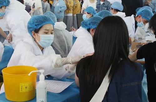 学生家长吃瓜视频大全