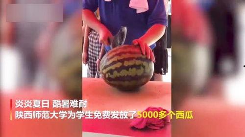 陕西师范大学吃瓜视频,趣味视频揭秘校园生活点滴