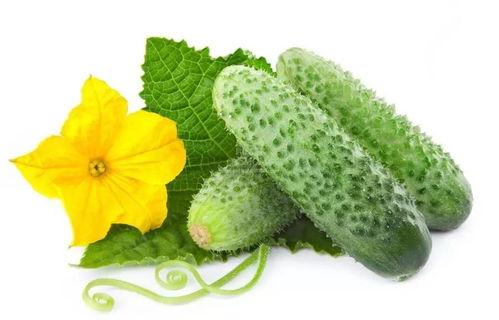 吃海南酸瓜视频教程大全,视频教程大全解析